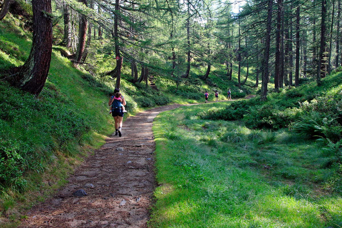 foto di un sentiero nel bosco con una persona che cammina