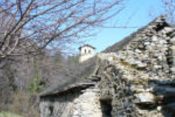 Sfoglia la galleria