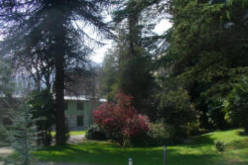 Sfoglia la galleria